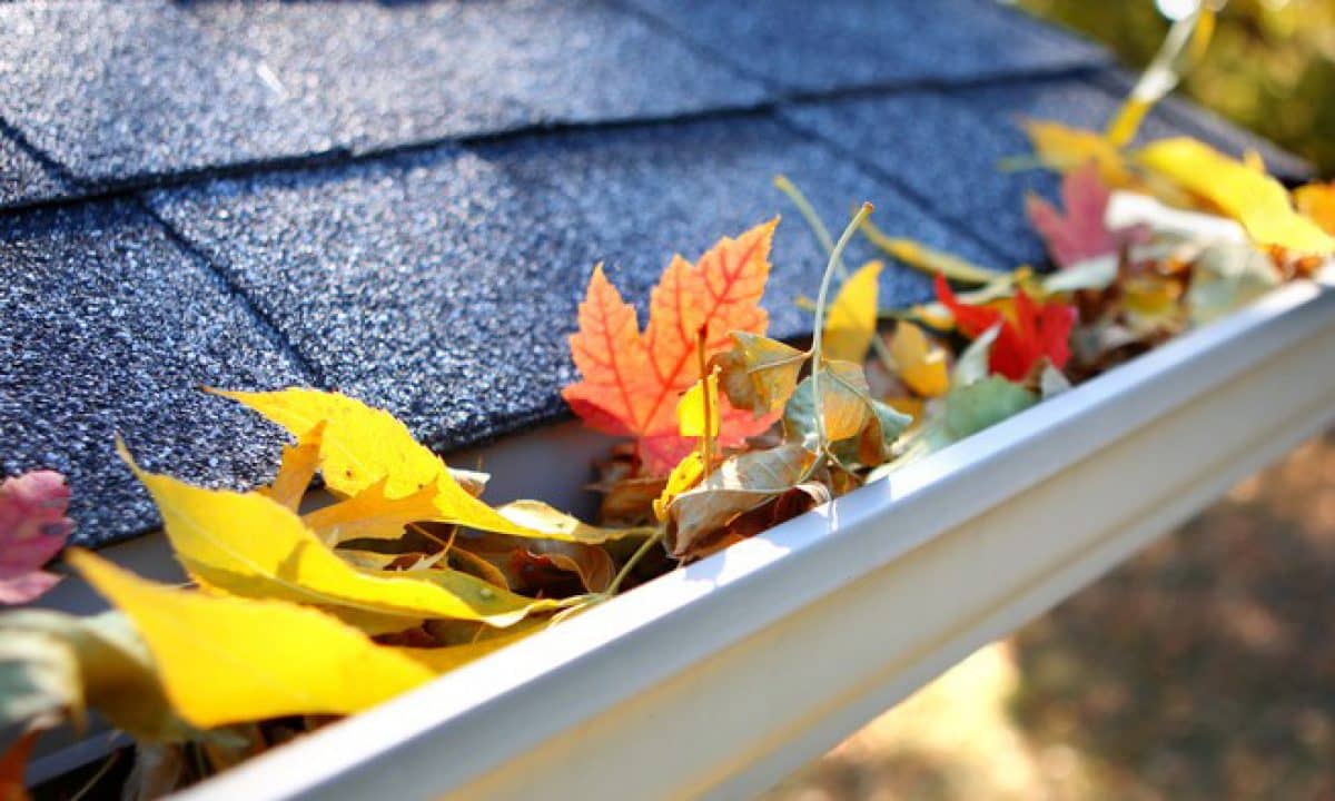 Bradley/ Kankakee | Common Gutter Problems and How to Avoid Them