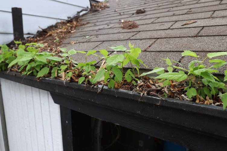 The Dangers of Neglecting Gutter Cleaning: “How to Protect Your Home from Damage and Pest Infestation”
